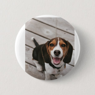 Chapa Redonda De 5 Cm Beagle_puppy