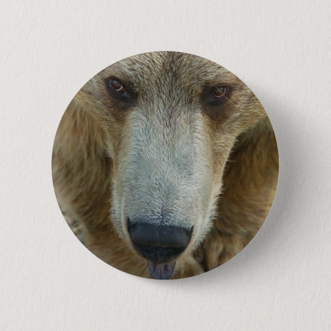 Chapa Redonda De 5 Cm Bear Flair (Anverso)