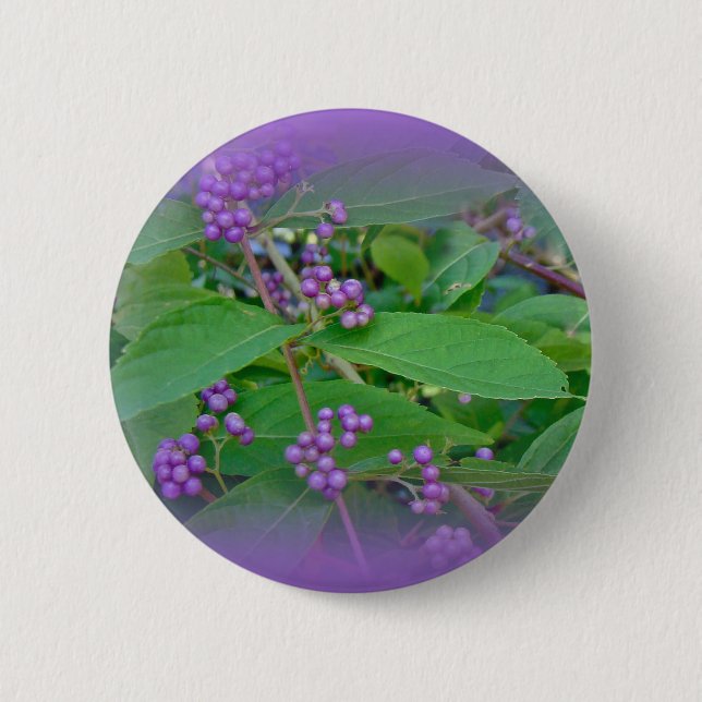Chapa Redonda De 5 Cm Beautyberry estadounidense (Callicarpa americana) (Anverso)