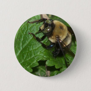 Chapa Redonda De 5 Cm Bee on Lemon Balm