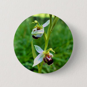 Chapa Redonda De 5 Cm Bee Orchid Badge