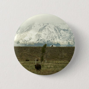 Chapa Redonda De 5 Cm Bison en la fotografía del parque nacional del Gra