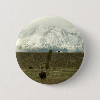 Chapa Redonda De 5 Cm Bison en la fotografía del parque nacional del Gra