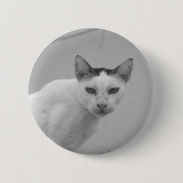 Chapa Redonda De 5 Cm Blanco y Negro - Gato 02 (Anverso)