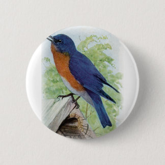 Chapa Redonda De 5 Cm Bluebird