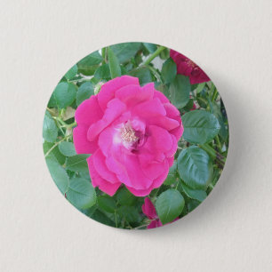 Chapa Redonda De 5 Cm Bonito En Flor Rosa