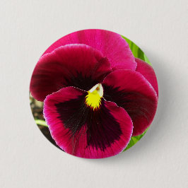 Chapa Redonda De 5 Cm Bonito Púrpura Pansy Floral