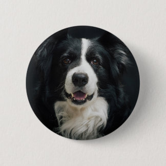 Chapa Redonda De 5 Cm border collie
