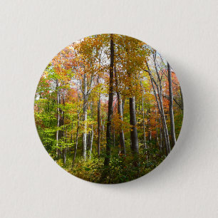 Chapa Redonda De 5 Cm Bosque de otoño I Fotografía de paisaje de otoño