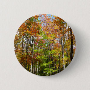 Chapa Redonda De 5 Cm Bosque de Otoño II Fotografía de paisaje otoñal