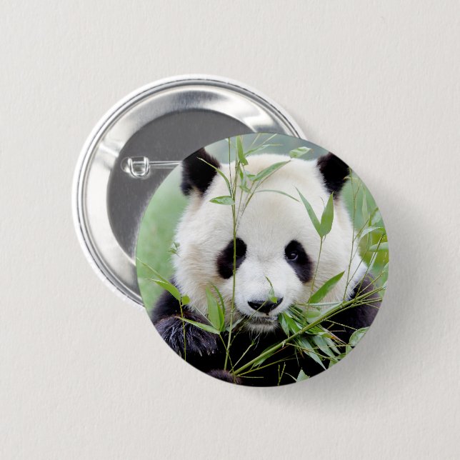 Chapa Redonda De 5 Cm Botones panda gigante. Panda geant. (Anverso y reverso)