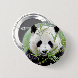 Chapa Redonda De 5 Cm Botones panda gigante. Panda geant.