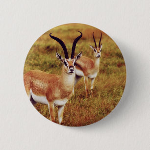 Chapa Redonda De 5 Cm Botones y insignias del safari del Gazelle de