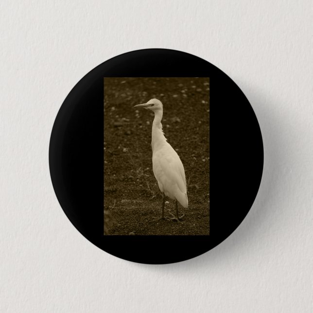 Chapa Redonda De 5 Cm Bovino Egret Lanzarote Tint Pegatina vertical (Anverso)