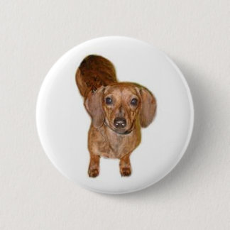 Chapa Redonda De 5 Cm br.dachshund