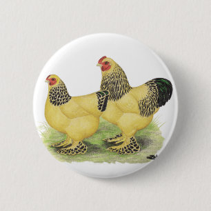 Chapa Redonda De 5 Cm Brahmas: Gallos de color de ante