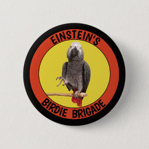 Chapa Redonda De 5 Cm Brigada Birdie Congo Loro gris africano