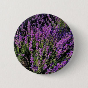 Chapa Redonda De 5 Cm Broche de lavanda elegante