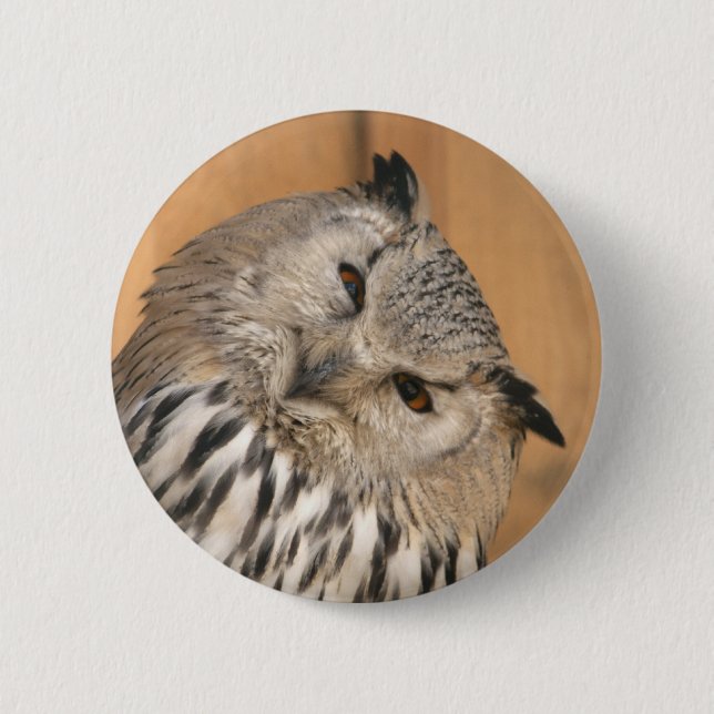 Chapa Redonda De 5 Cm Bubo bubo sibiricus (Anverso)