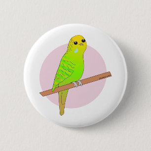 Chapa Redonda De 5 Cm Budgie verde lindo