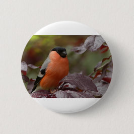 Chapa Redonda De 5 Cm Bull Finch