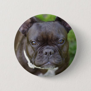 Chapa Redonda De 5 Cm Bulldog francés