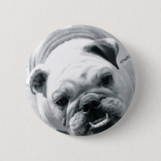 Chapa Redonda De 5 Cm Bulldog inglés