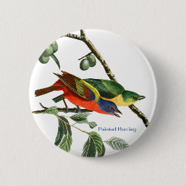 Chapa Redonda De 5 Cm Bunting, Audubon, Birdwatcher Finch Bird,