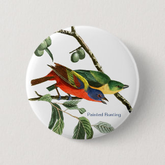 Chapa Redonda De 5 Cm Bunting, Audubon, Birdwatcher Finch Bird,