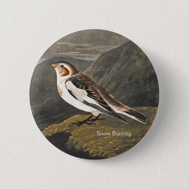 Chapa Redonda De 5 Cm Bunting de nieve de John James Audubon, Birders Bi (Anverso)