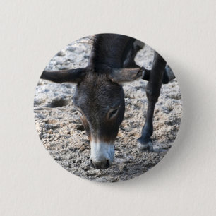 Chapa Redonda De 5 Cm Burro