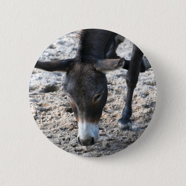 Chapa Redonda De 5 Cm Burro (Anverso)