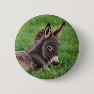 Chapa Redonda De 5 Cm Burro en la hierba