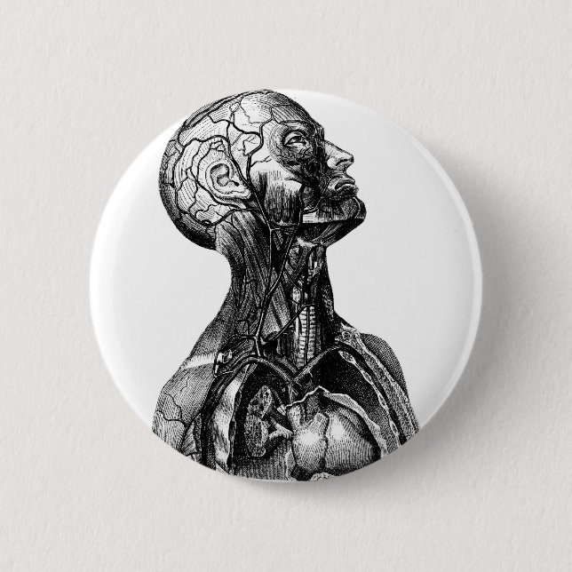 Chapa Redonda De 5 Cm Busto de la anatomía (Anverso)
