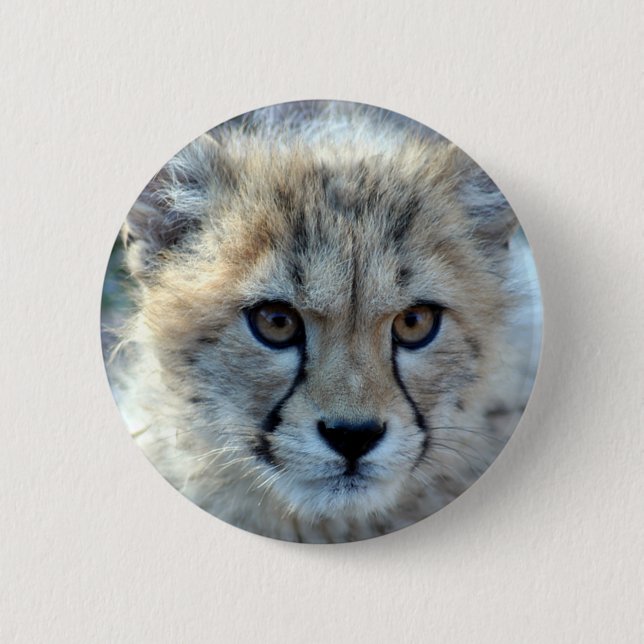Chapa Redonda De 5 Cm Button-cheetah-cub10x10 (Anverso)