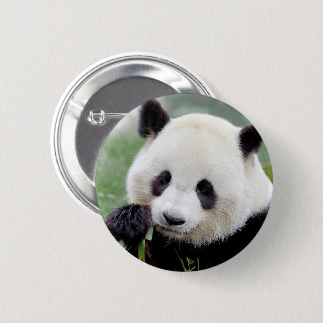 Chapa Redonda De 5 Cm Buttons giant panda. Panda geant. (Anverso y reverso)