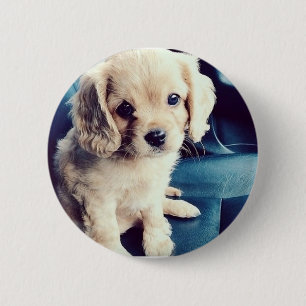 Chapa Redonda De 5 Cm ¡Buttonz para arriba!