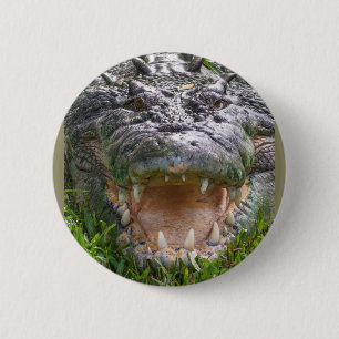 Chapa Redonda De 5 Cm Buzón de cabeza de cocodrilo de agua salada salva