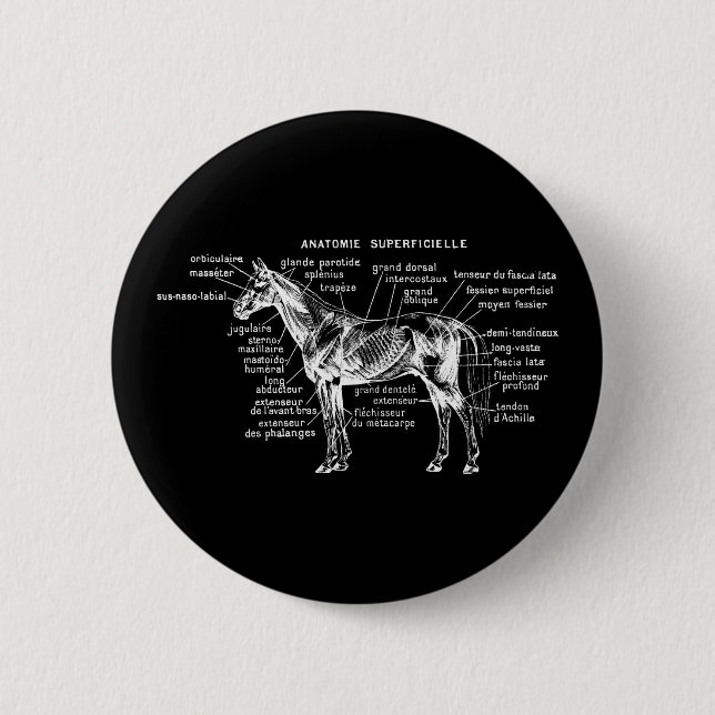 Chapa Redonda De 5 Cm Caballo (Anverso)
