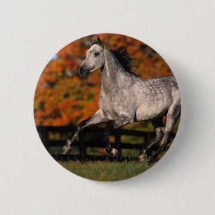 Chapa Redonda De 5 Cm Caballo árabe: Otoño 1