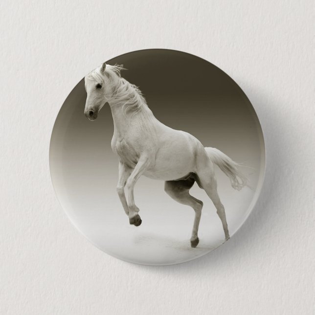 Chapa Redonda De 5 Cm caballo de cría (Anverso)