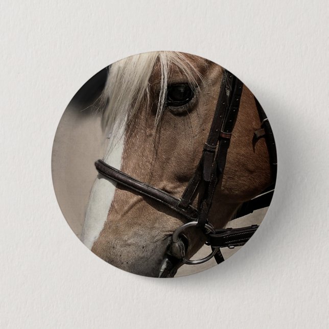 Chapa Redonda De 5 Cm Caballo de Palomino en Bridle (Anverso)