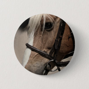 Chapa Redonda De 5 Cm Caballo de Palomino en Bridle