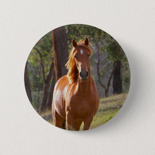 Chapa Redonda De 5 Cm Caballo en las maderas (Anverso)