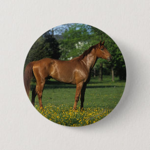 Chapa Redonda De 5 Cm Caballo excelente en flores