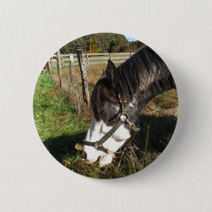 Chapa Redonda De 5 Cm Caballo pintado, flor de la reina de la alimentaci