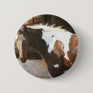 Chapa Redonda De 5 Cm Caballo Pinto