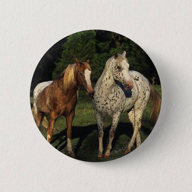 Chapa Redonda De 5 Cm Caballos del Appaloosa (Anverso)