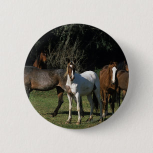 Chapa Redonda De 5 Cm Caballos salvajes 1 del mustango