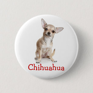 Chapa Redonda De 5 Cm Cachorro Chihuahua marrón y blanco